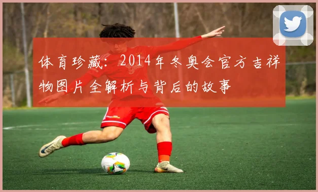 体育珍藏：2014年冬奥会官方吉祥物图片全解析与背后的故事